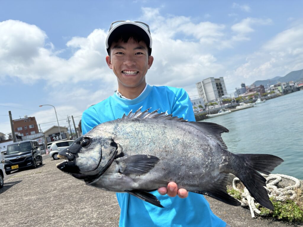 五島イシダイ