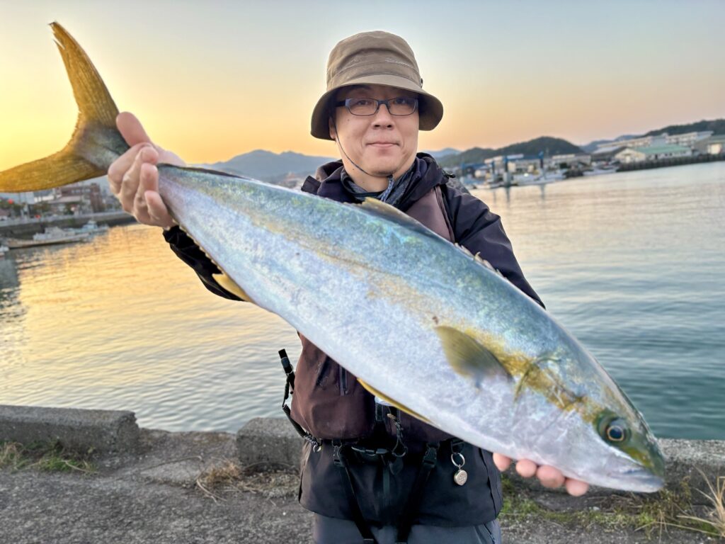ヒラマサ