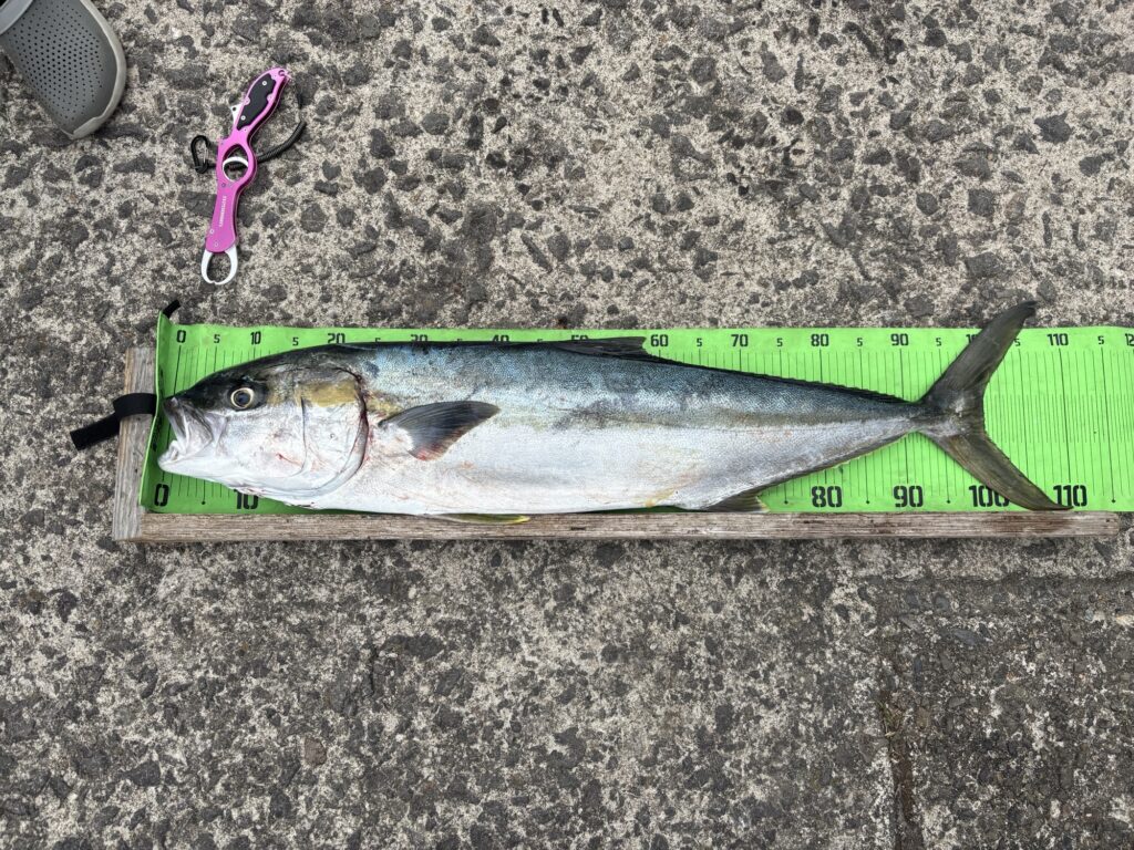 デカマサ